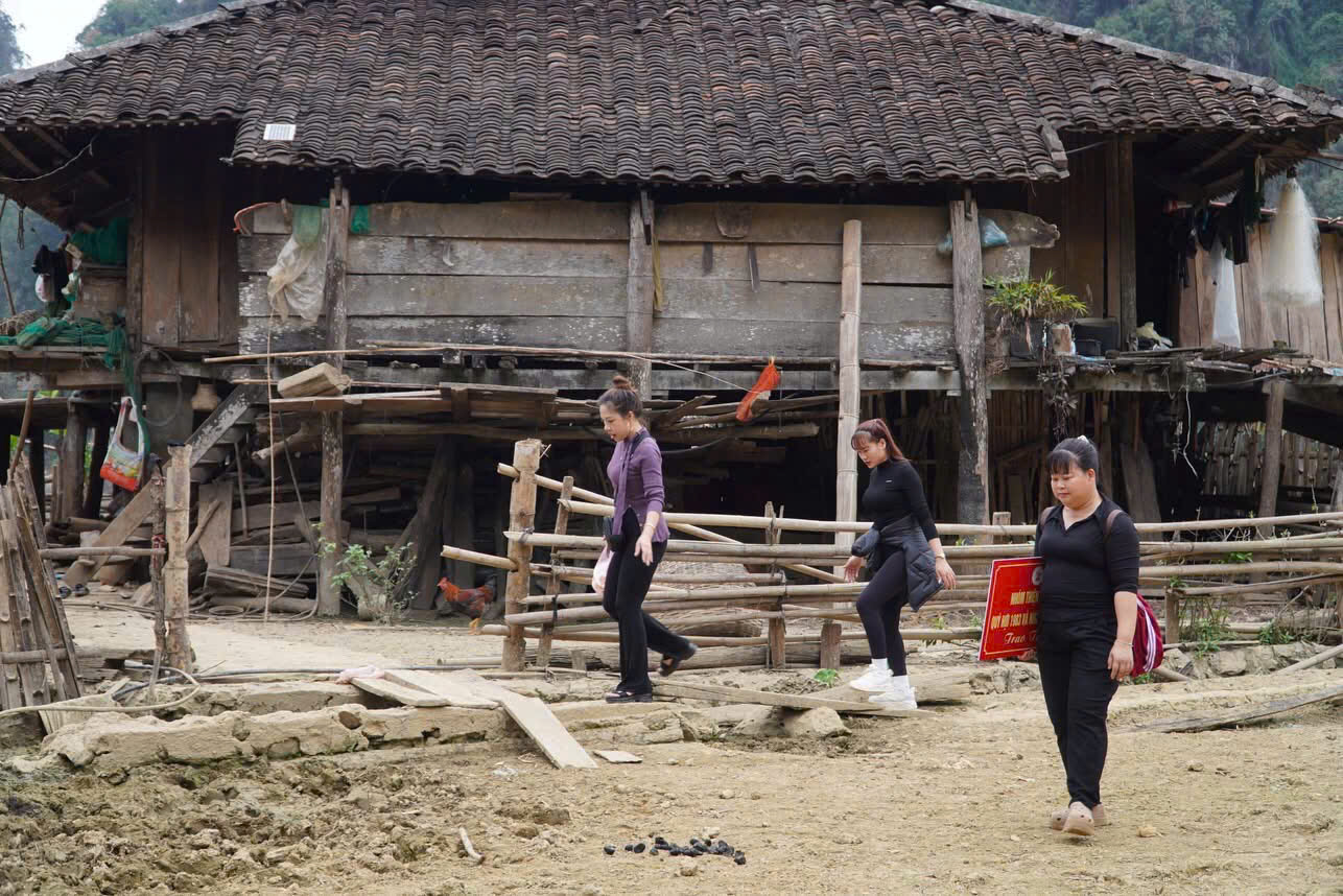 Thiện nguyện Quý Hợi 1983